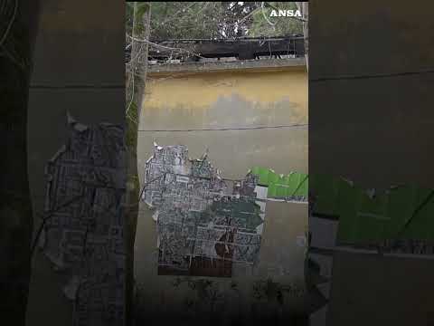 Rogo alla Biennale di Venezia, i danni al padiglione della Serbia #ansa #news