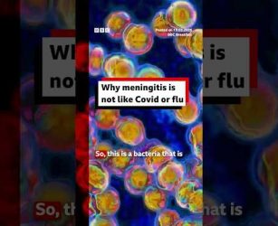 Why meningitis is not like Covid or flu. #Meningitis #Health #Vaccines #BBCNews