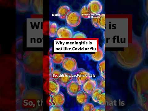 Why meningitis is not like Covid or flu. #Meningitis #Health #Vaccines #BBCNews