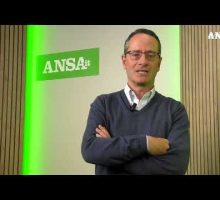 Referendum, l'analisi del direttore dell'ANSA Luigi Contu #ansa #news