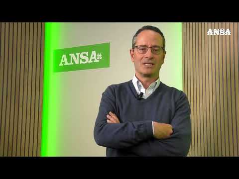 Referendum, l’analisi del direttore dell’ANSA Luigi Contu #ansa #news