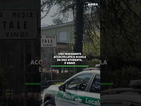 Una insegnante accoltellata a scuola da uno studente, e’ grave #ansa #news