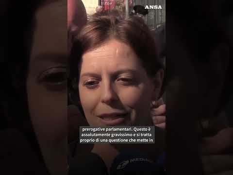 Controllo preventivo per Ilaria Salis a Roma. “in discussione la democrazia” #ansa #news