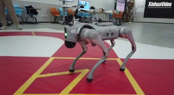 Cina: cani robot controllati con la mente diventano realtà a Xi’an