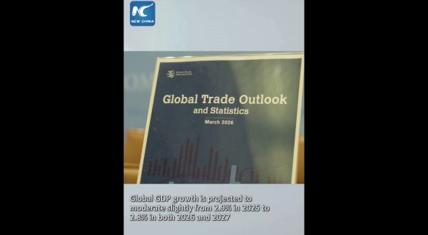 OMC, il conflitto in Medio Oriente rallenta crescita del commercio globale