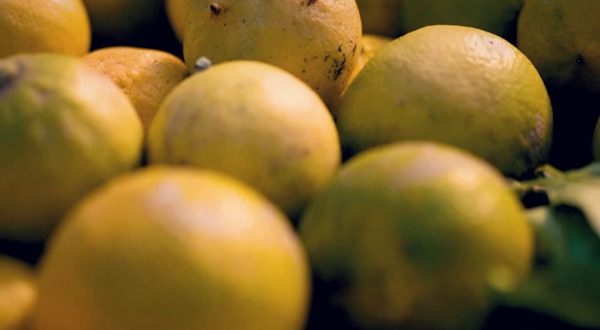 Imprese, la formazione leva strategica per l’internazionalizzazione