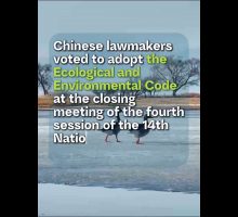 Cina, un nuovo codice ecologico per tutelare l'ambiente