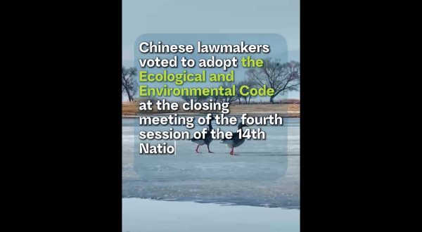 Cina, un nuovo codice ecologico per tutelare l’ambiente