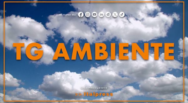Tg Ambiente – 15/3/2026