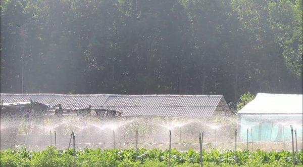 Nuove risorse per il Bando Agrisolare