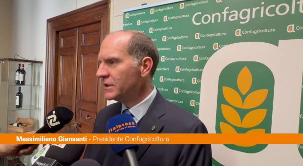 Giansanti “La salicoltura settore fondamentale per l’economia”