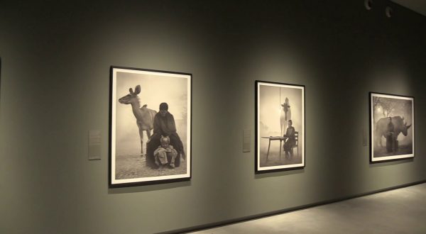 Torino, mostra “Nick Brandt” alle Gallerie d’Italia di Intesa Sanpaolo
