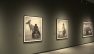 Torino, mostra "Nick Brandt" alle Gallerie d'Italia di Intesa Sanpaolo