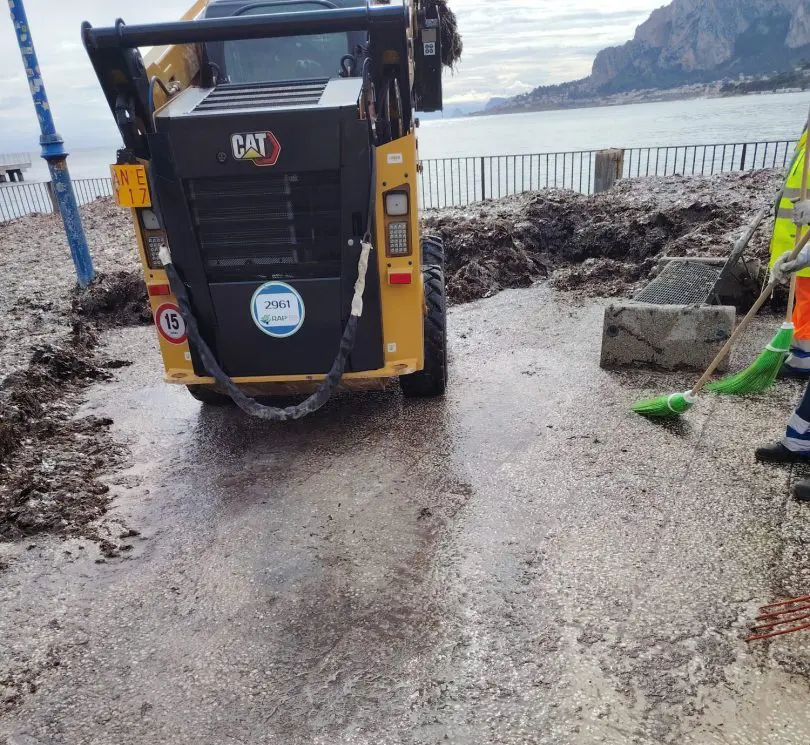 Al via la pulizia straordinaria del litorale di Mondello: rimozione della posidonia
