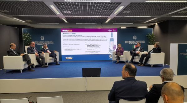 Ismea a Vinitaly: strategie, strumenti e prospettive per il vino italiano