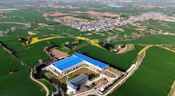 Cina, le industrie legate alle zone rurali in crescita nel primo trimestre