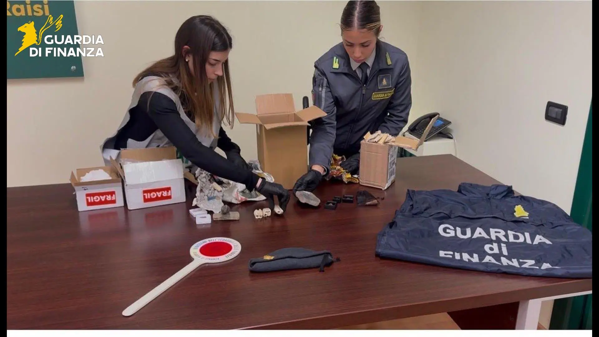 Palermo, sequestrati 17 reperti fossili risalenti a 50 milioni di anni fa / Video