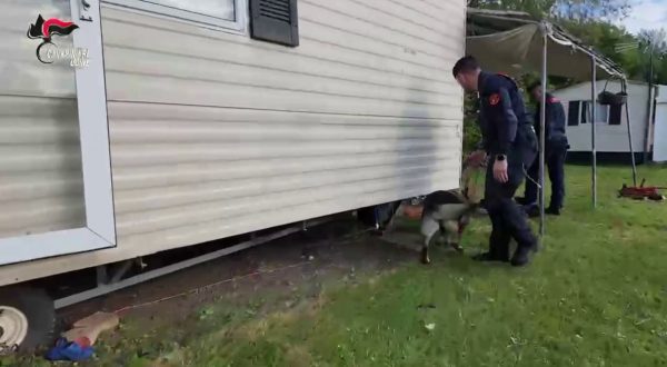 Furti in abitazione tra Friuli e Veneto: 5 misure cautelari, 4 in carcere