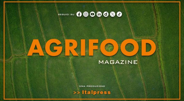 Agrifood Magazine – 15/4/2026
