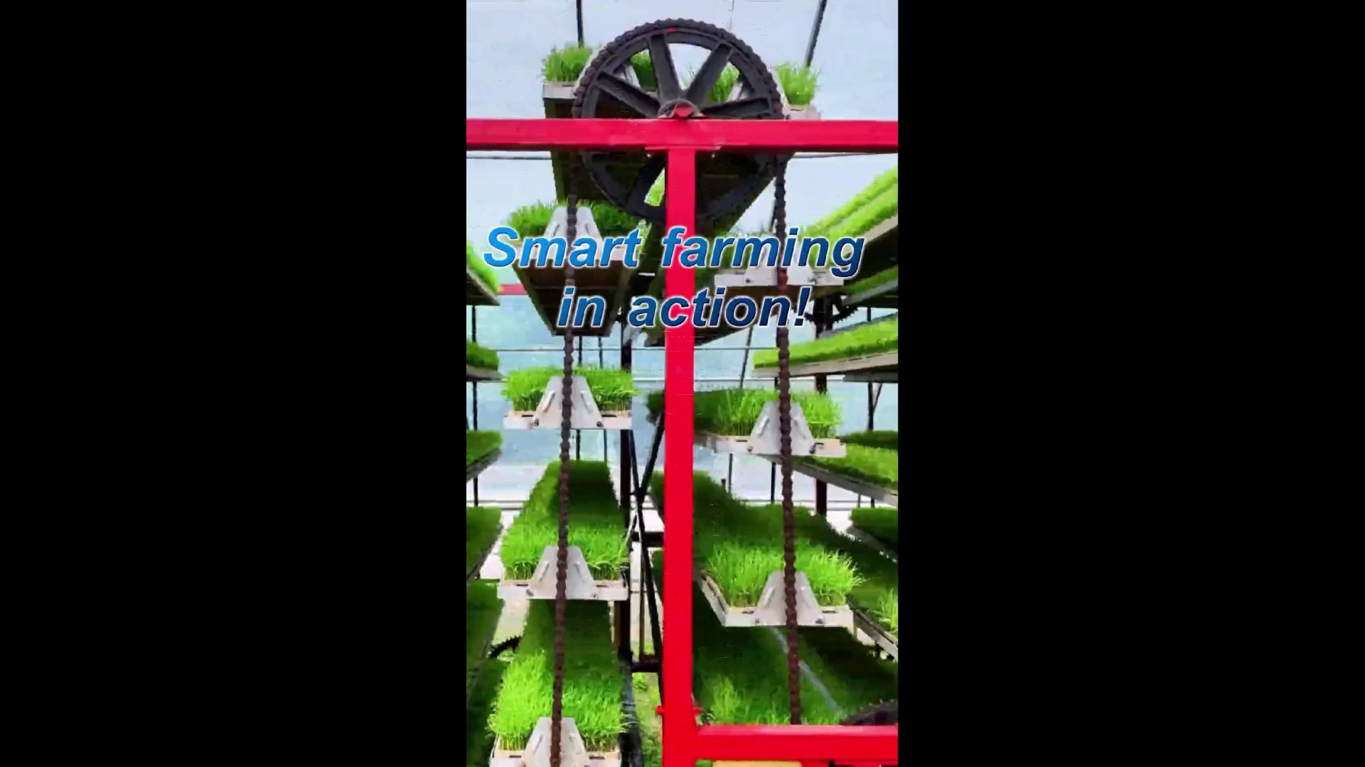 Cina: agricoltura smart, piantine di riso coltivate "in ascensore"