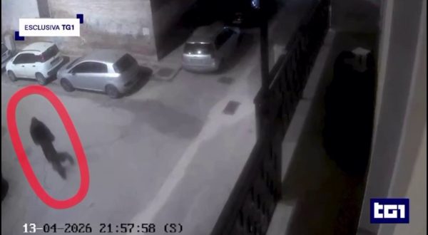 Foggia, omicidio personal trainer: al Tg1 il video del presunto killer