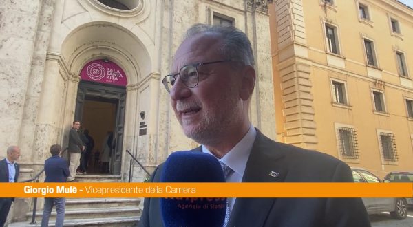 Mulè “Arditti Persona sempre misurata”