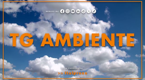 Tg Ambiente – 12/4/2026