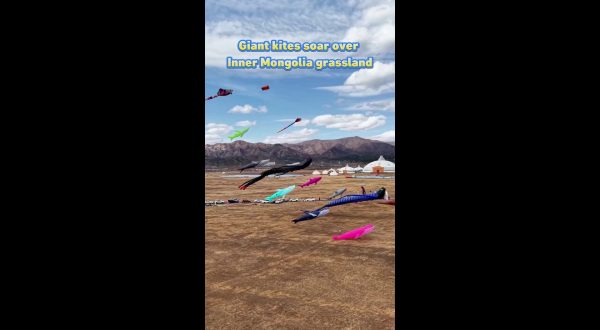 Cina, aquiloni giganti colorano il cielo della Mongolia interna
