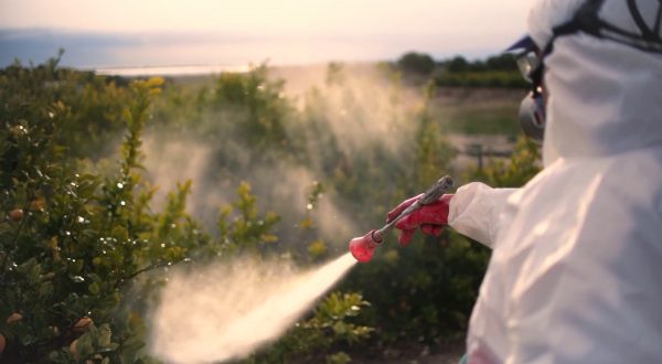 Pesticidi in agricoltura, cresce il rischio tumori
