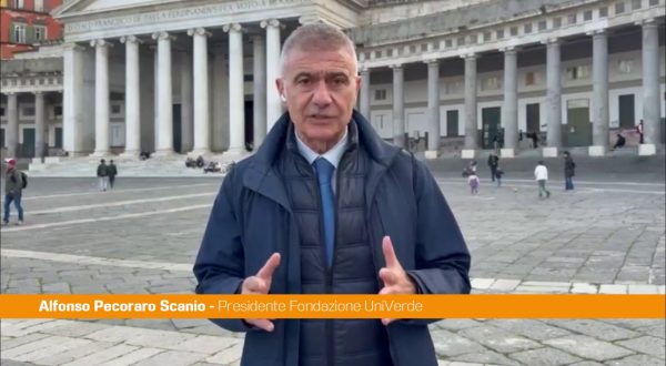 Legge elettorale, Pecoraro Scanio “Una petizione civica per le preferenze”