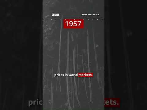 On 1 April, back in 1957, the BBC had this update on spaghetti trees. #AprilFools #BBCNews