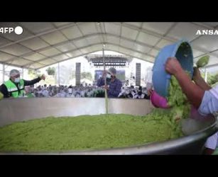 Maxi guacamole per sfidare il Guinness World Record a Tancitaro, in Messico#ansa #news