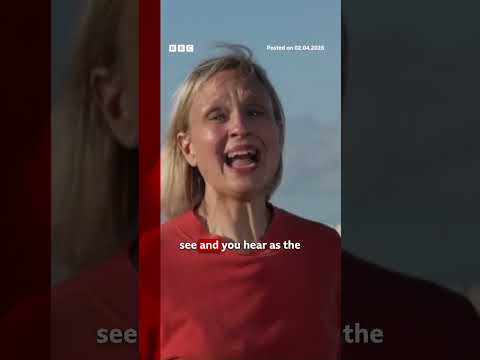 Artemis crew are officially on their way to the Moon. #ArtemisII #Nasa #Moon #BBCNews