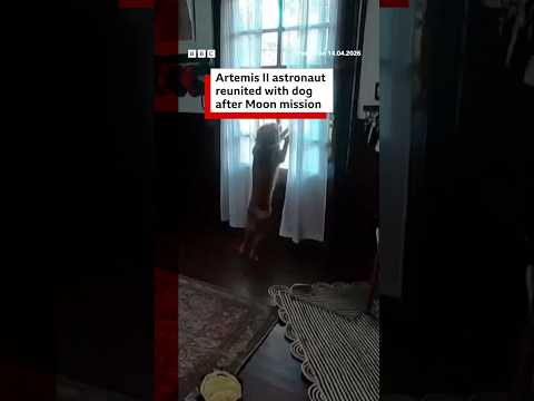 Christina Koch returned from her mission around the Moon to be greeted by her doggo Sadie. #BBCNews