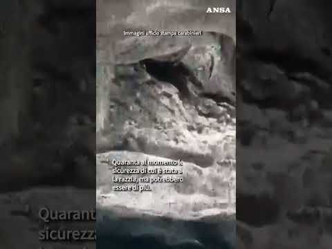 Rapina in banca a Napoli: ecco il tunnel scavato sotto il caveau #ansa #news