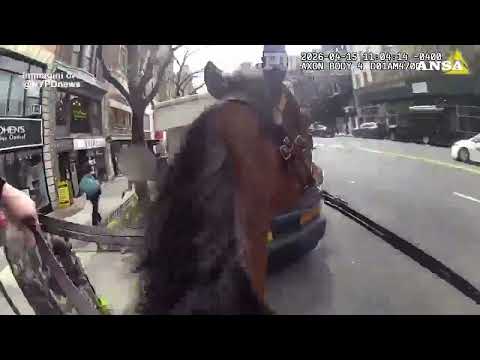 Gli anarchici sfilano a Roma per Cospito, ferito un poliziotto#ansa #news