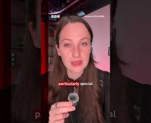 Madonna offering reward for the return of her missing Coachella outfit. #Madonna #USNews #BBCNews