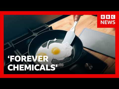 Ban ‘forever chemicals’ in uniforms and frying pans, UK MPs urge | BBC News