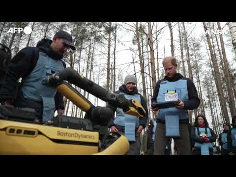 Ucraina, Harry visita un sito di sminamento nei pressi di Bucha#ansa #news