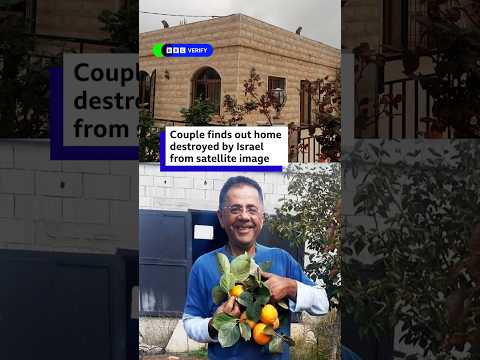 Couple finds out home destroyed by Israel from satellite image. #Lebanon #Israel #BBCNews