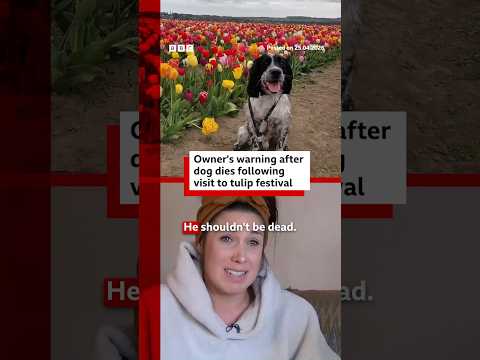 Owner’s warning after dog’s tulip festival death. #Yorkshire #BBCNews