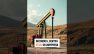 Petrolio. Emirati fuori da Opec. Cosa cambia davvero per prezzi ed economia?