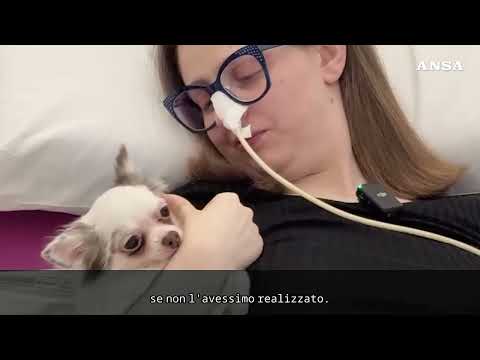 Chemio con il cane accanto, al via il piano per umanizzare le cure a Treviso#ansa #news