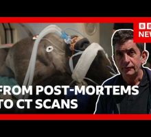 Inside London Zoo&rsquo;s new wildlife hospital | BBC News