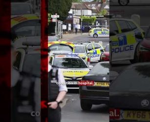 What we know about the Golders Green stabbings