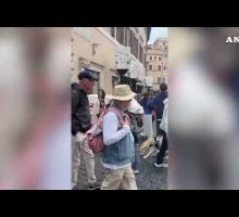 Tre gattini in rosa rubano la scena alla Fontana di Trevi#ansa #news