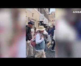 Tre gattini in rosa rubano la scena alla Fontana di Trevi#ansa #news