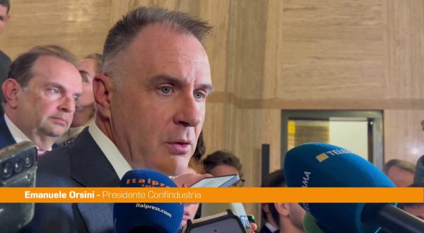 Orsini “Servono misure che rendano subito competitive industrie italiane e Ue”