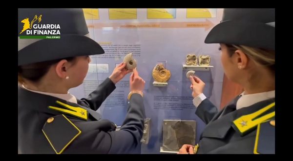 Palermo, sequestrati 17 reperti fossili risalenti a 50 milioni di anni fa