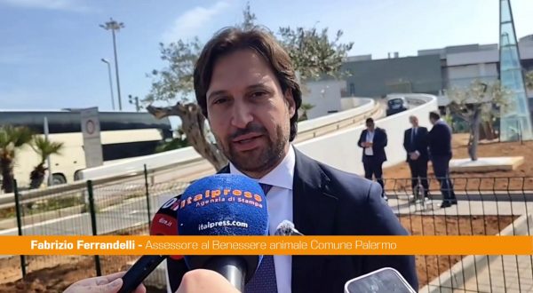 Area Pet all’aeroporto di Palermo, Ferrandelli “Gesto di sensibilità”